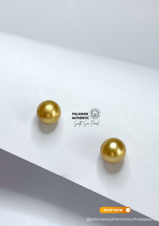 8.1mm to 8.3mm Palawan Authentic Deep Golden Color South Sea Pearl Earrings in 14k Real Gold Settings