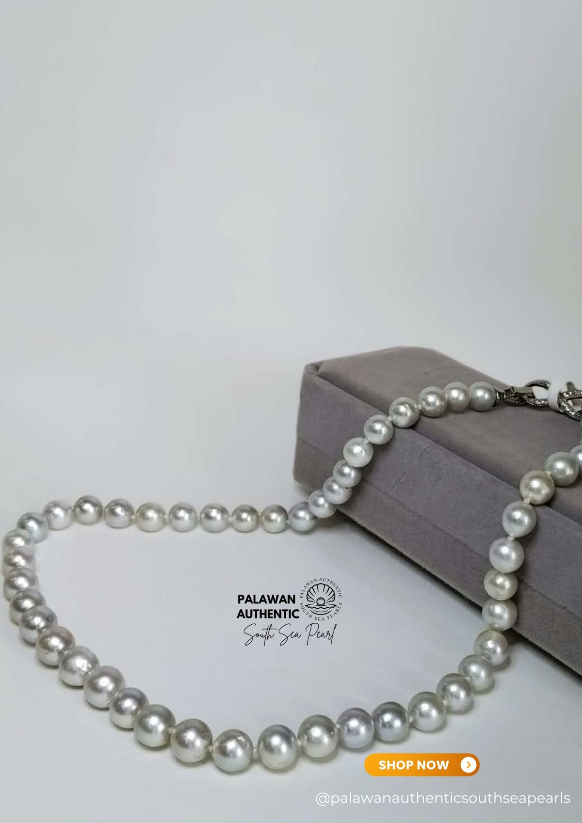 7.5 to 9.3mm Palawan Authentic Silver Bluish Color South Sea Pearl Choker in 5  Micron Lock Setting.