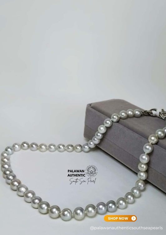 7.5 to 9.3mm Palawan Authentic Silver Bluish Color South Sea Pearl Choker in 5  Micron Lock Setting.
