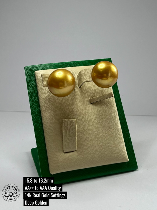 15.8 to 16.2mm Palawan Authentic Deep Golden Color South Sea Pearl Earrings in 14k Real Gold Settings