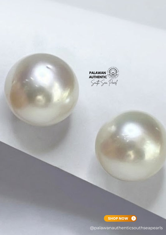 17.2 to 17.3mm Palawan Authentic Silver White Color South Sea Pearl Earrings in 14k Real Gold Settings