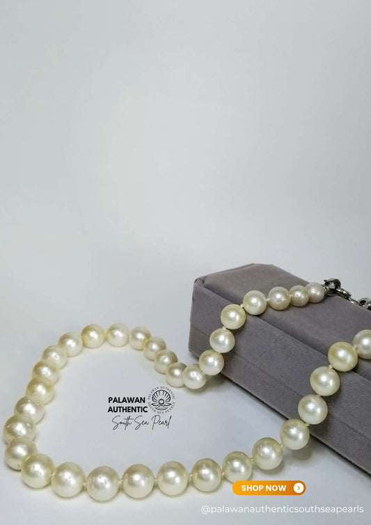 9 to 12.5mm Palawan Authentic Creamy White Color South Sea Pearl Choker in 5 Micron Lock Settings