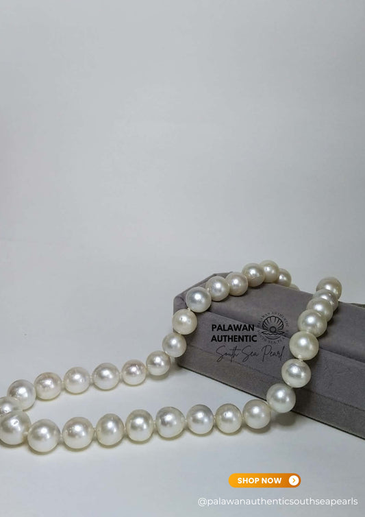 11.9 to 14mm Palawan Authentic White South Sea Pearl Choker in 5 Micron Lock Setting.