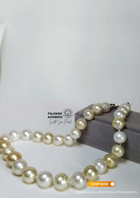 13 to 15mm Palawan Authentic Multicolor  South Sea Pearl Choker in 5 Micron Lock Settings