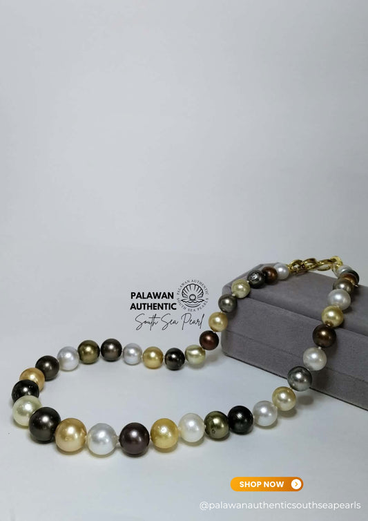 8.3 to 13.5mm Palawan Authentic Multicolor South Sea Pearl Choker in 5 Micron Lock Settings