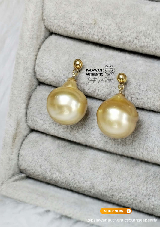 16 to 16.2mm Palawan Authentic Golden Color South Sea Pearl Earrings in 14k Real Gold Settings