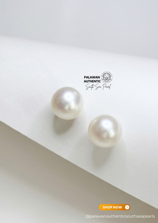 12mm Palawan Authentic Pinkish White Color South Sea Pearl Earrings in 14k Real Gold Settings