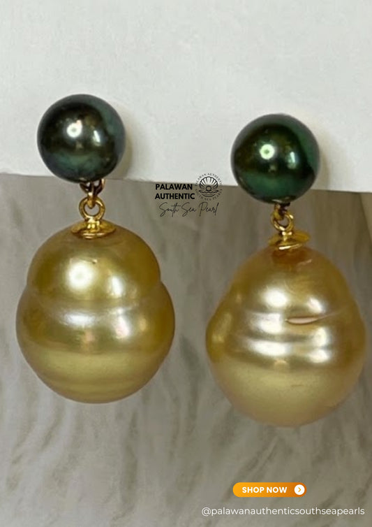 7.5 to 15mm Palawan Authentic Deep Golden and Peacock Green Color South Sea Pearl Earrings in 14k Real Gold Settings