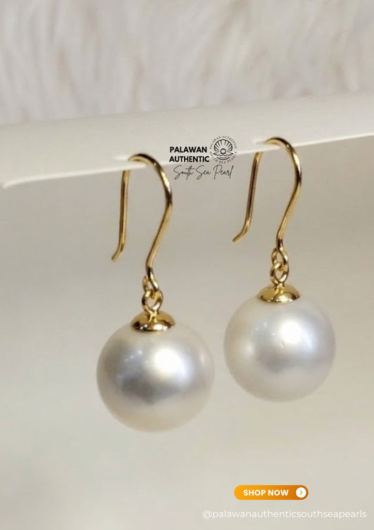 12.7mm Palawan Authentic Silver White Color South Sea Pearl Earrings in 14k Real Gold Settings