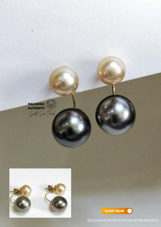 8.4 to 12.2mm Palawan Authentic Golden Brown  and Tahitian Black Color South Sea Pearl Earrings in 14k Real Gold Settings