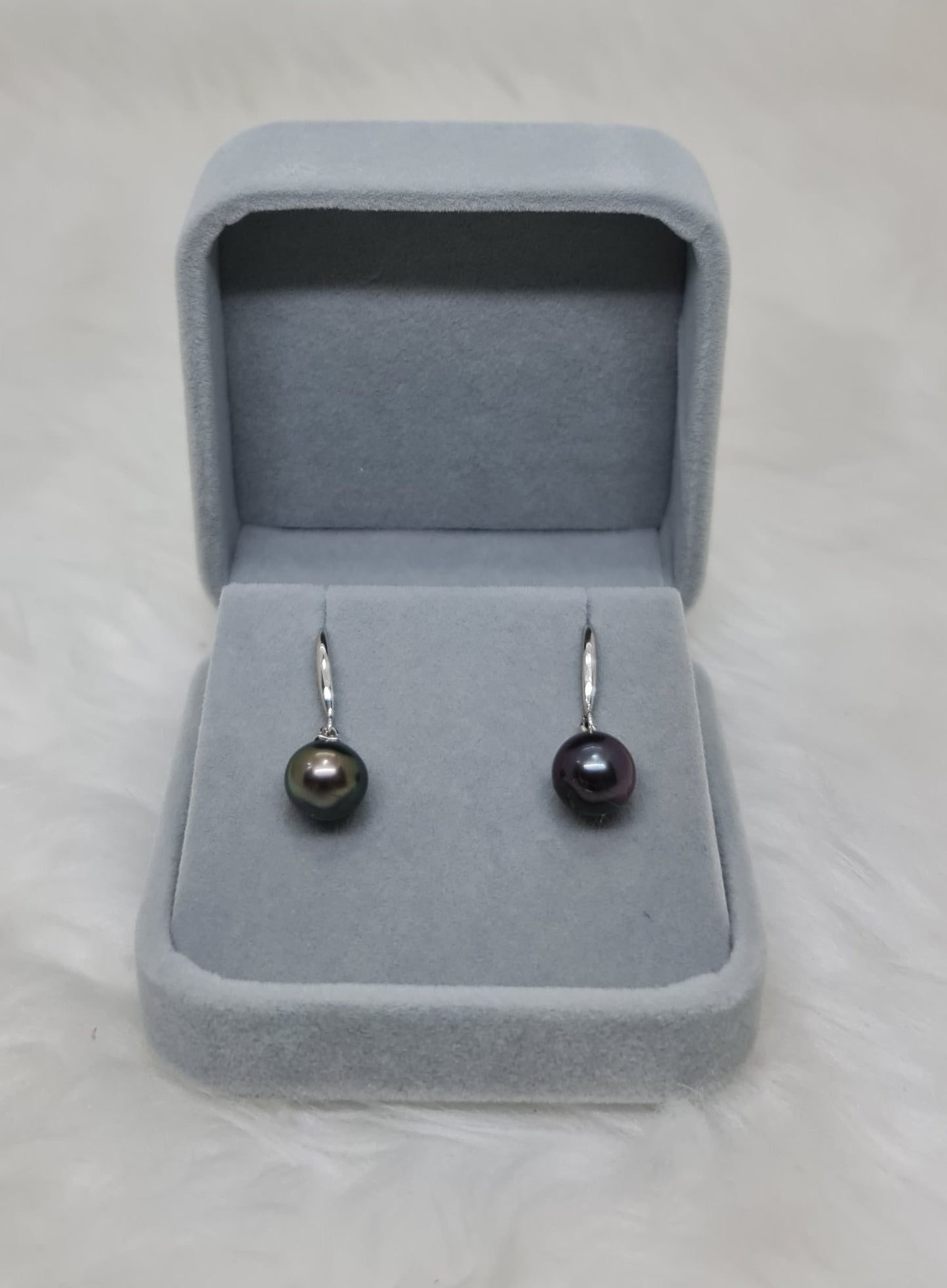 9.5mm Tahitian Black South Sea Pearls Earrings in Silver Plated