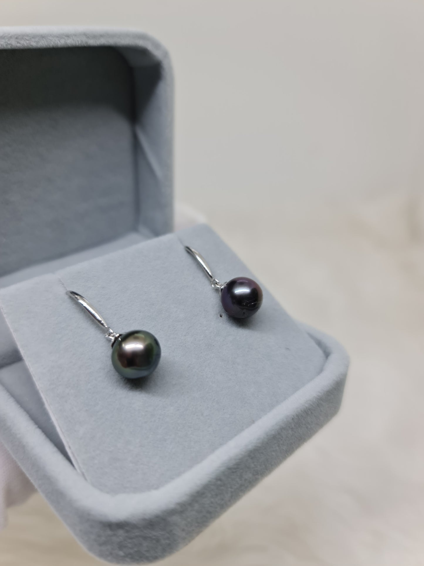 9.5mm Tahitian Black South Sea Pearls Earrings in Silver Plated