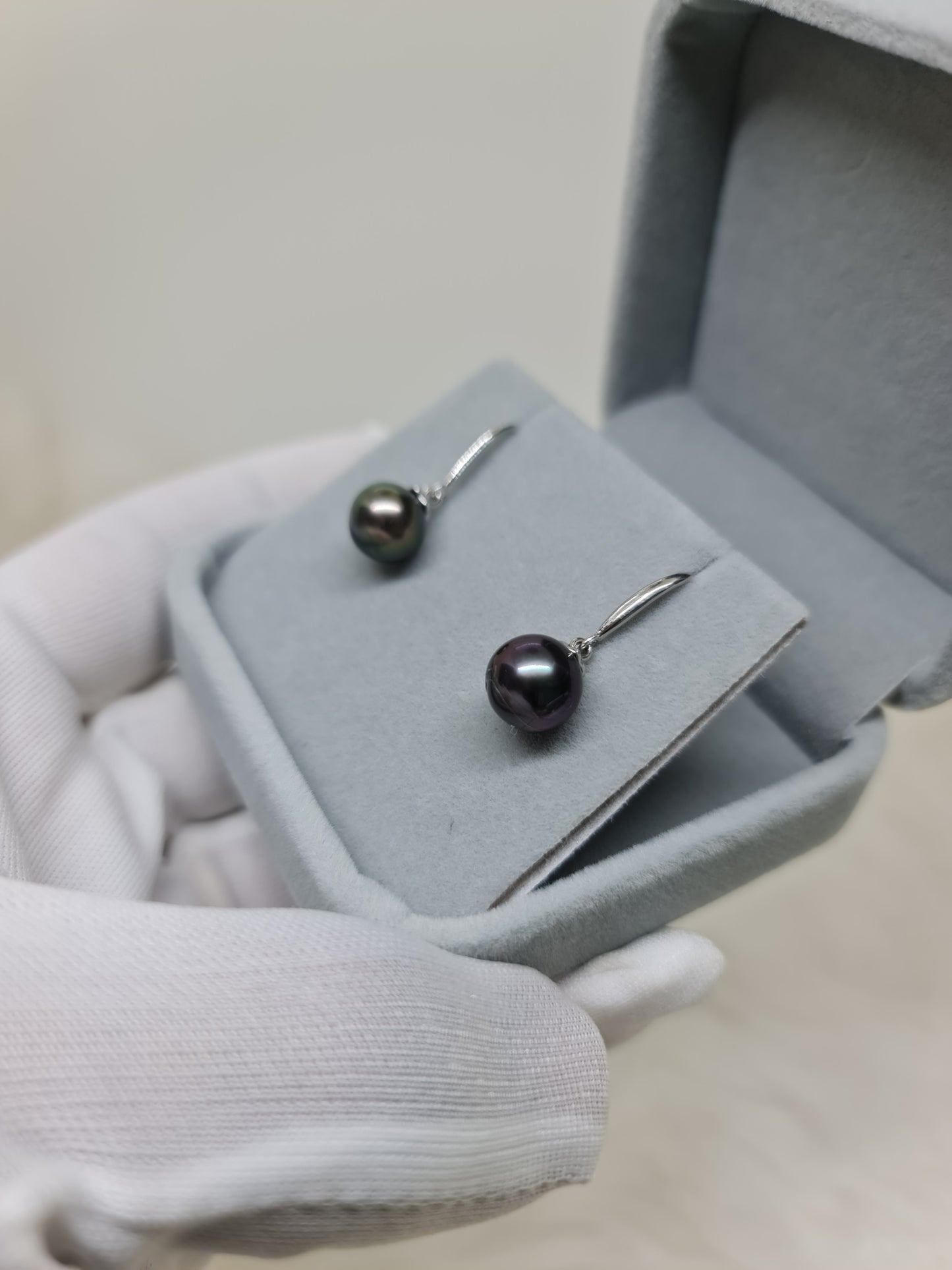 9.5mm Tahitian Black South Sea Pearls Earrings in Silver Plated