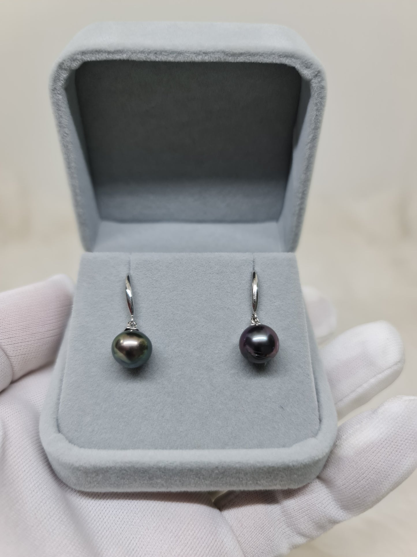 9.5mm Tahitian Black South Sea Pearls Earrings in Silver Plated