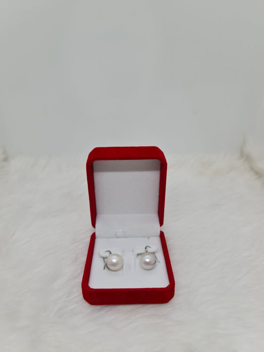 13.4mm - 13.6mm White South Sea Pearls Earrings 925 Silver