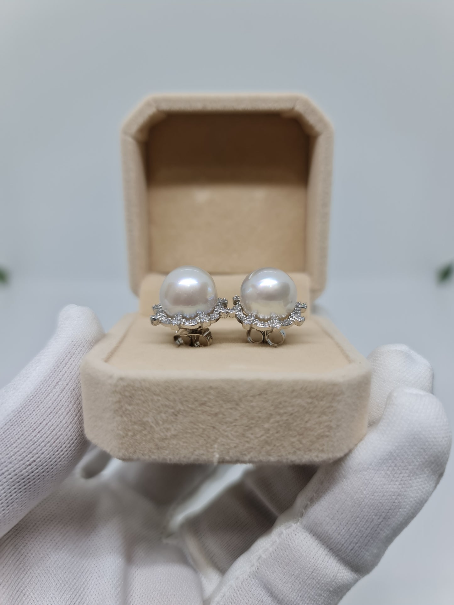 11.5mm Silver South Sea Pearls Earrings Plated Settings