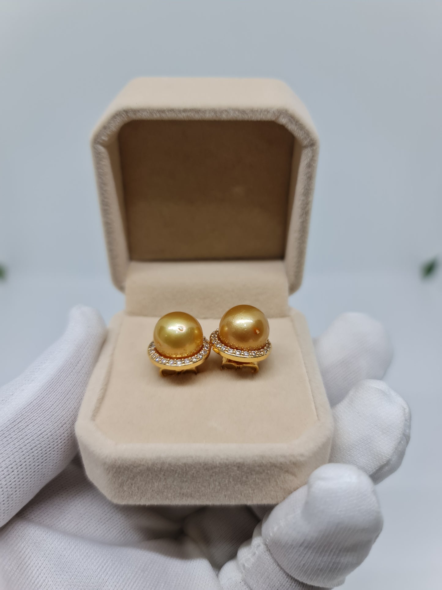11mm Deep Golden South Sea Pearls Earrings Plated Settings