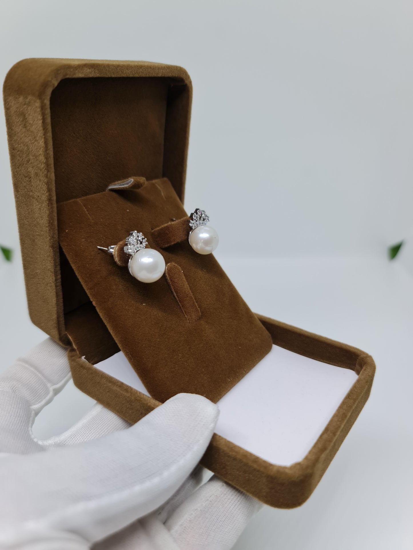 11.5mm Silver White South Sea Pearls Earrings Plated Settings