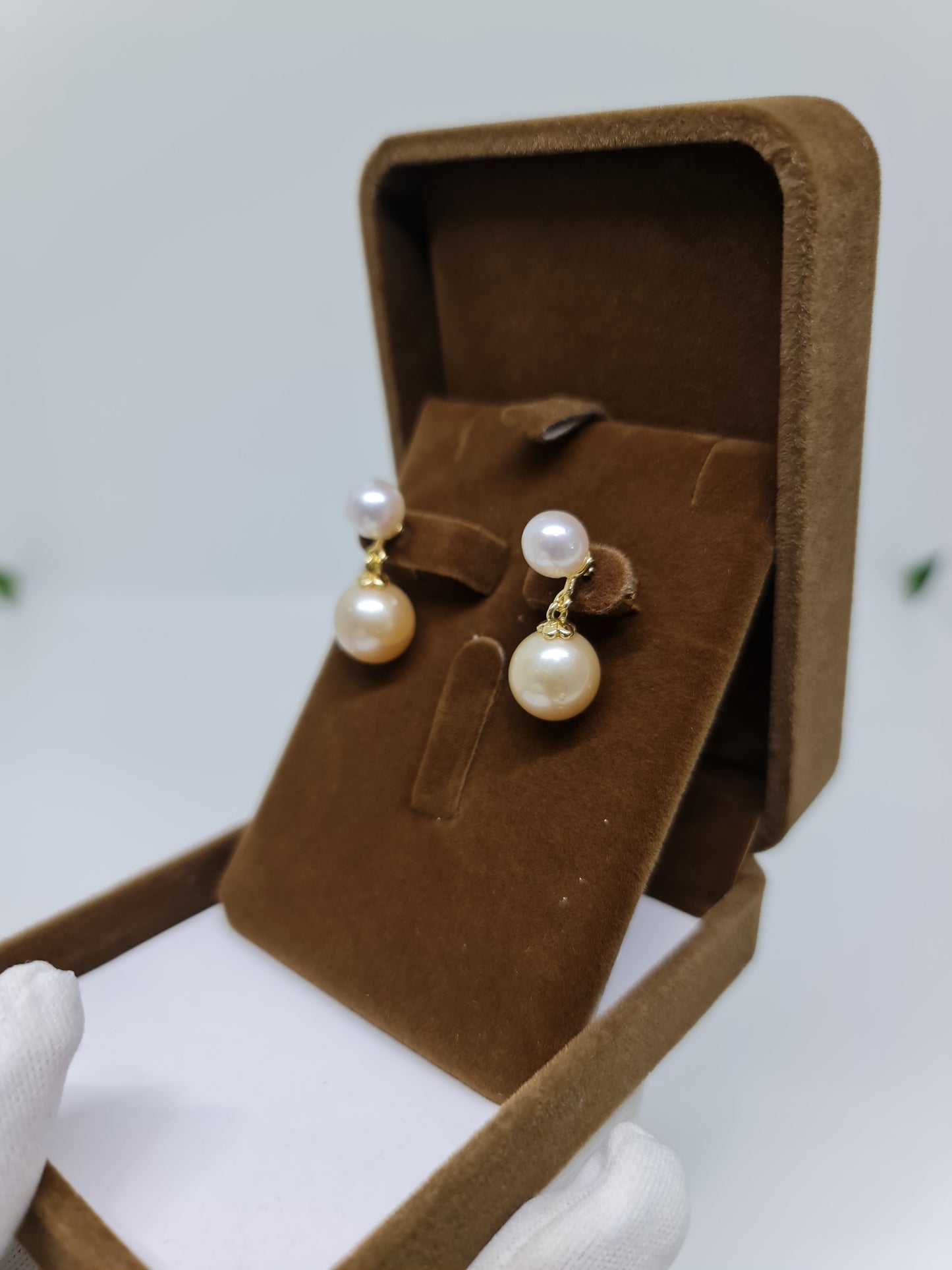 8mm - 11.6mm Champagne & White South Sea Pearls Earrings Plated Settings