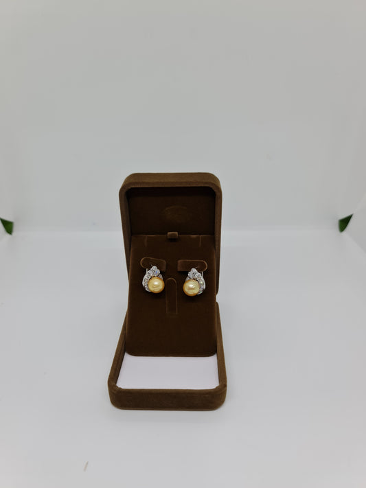 11.5mm Golden South Sea Pearls Earrings Plated Settings