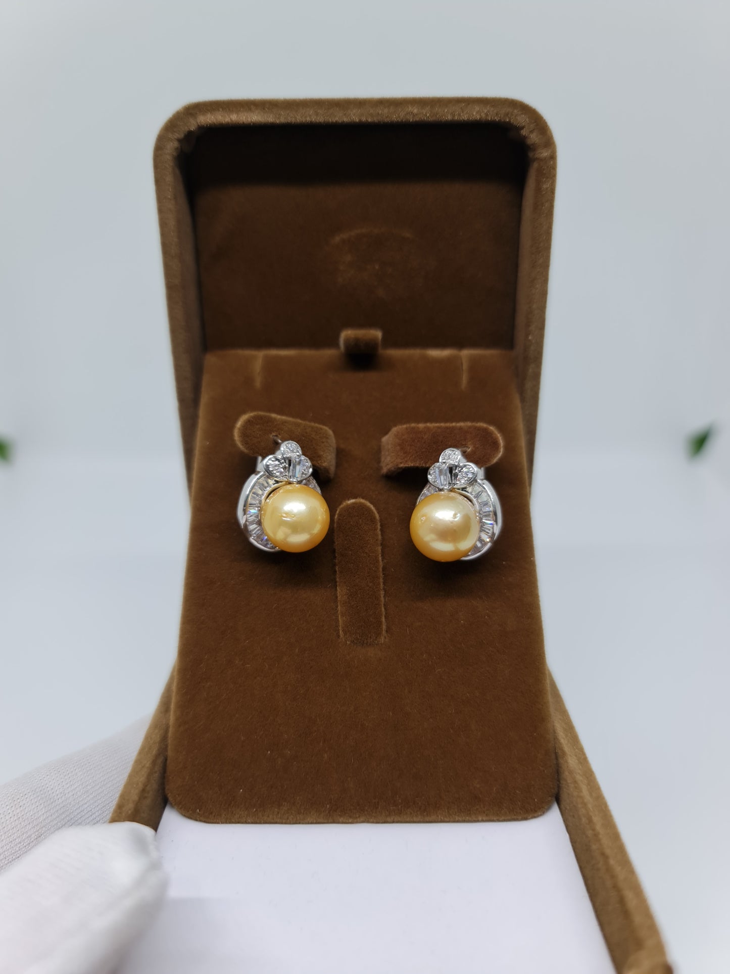 11.5mm Golden South Sea Pearls Earrings Plated Settings