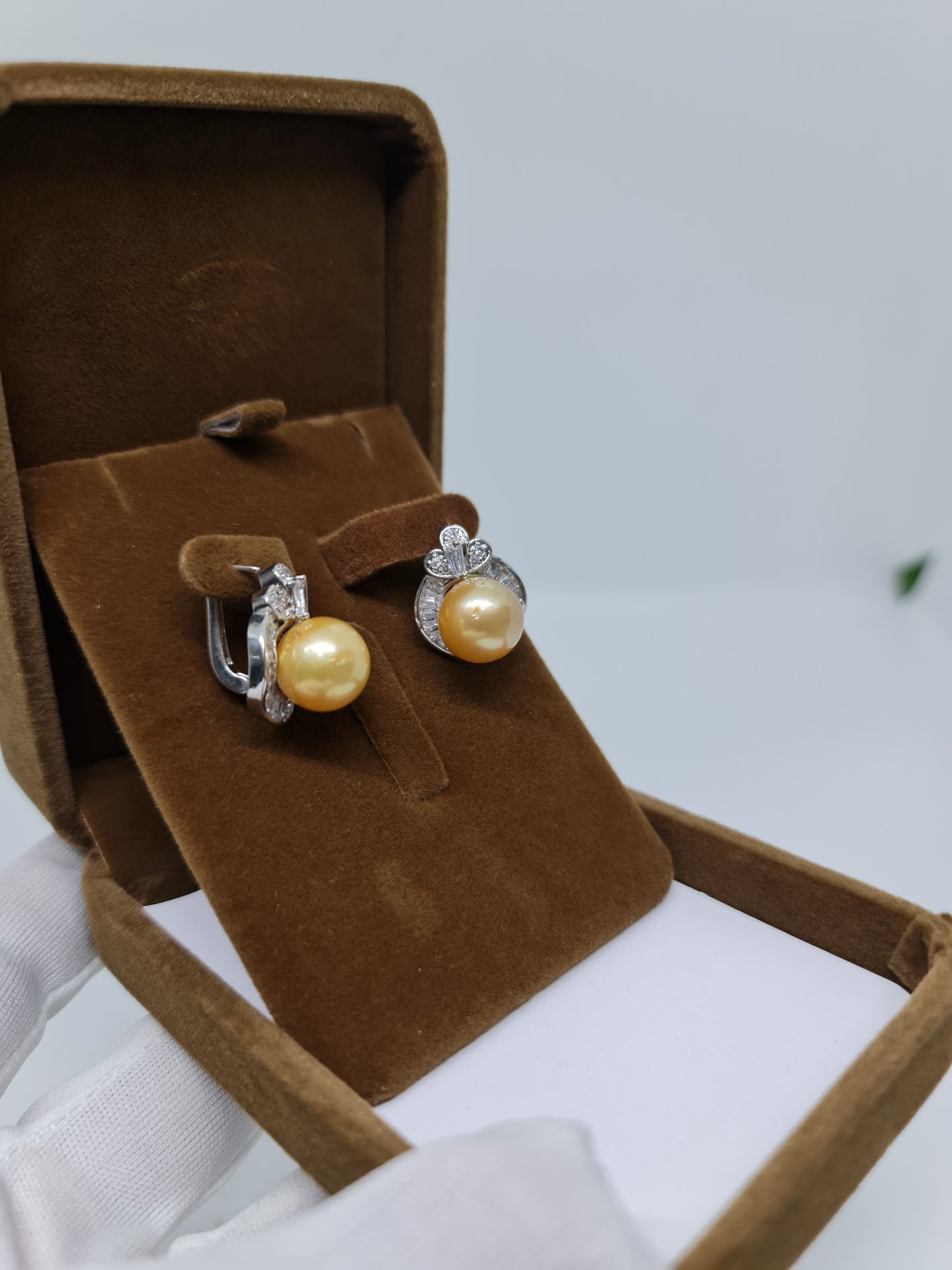 11.5mm Golden South Sea Pearls Earrings Plated Settings