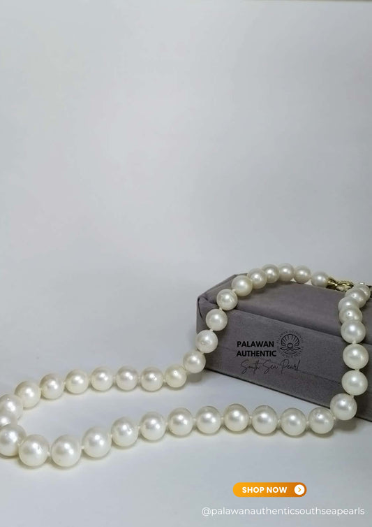 9 to 12.5mm Palawan Authentic White Color South Sea Pearl Choker in 5 Micron Lock Settings