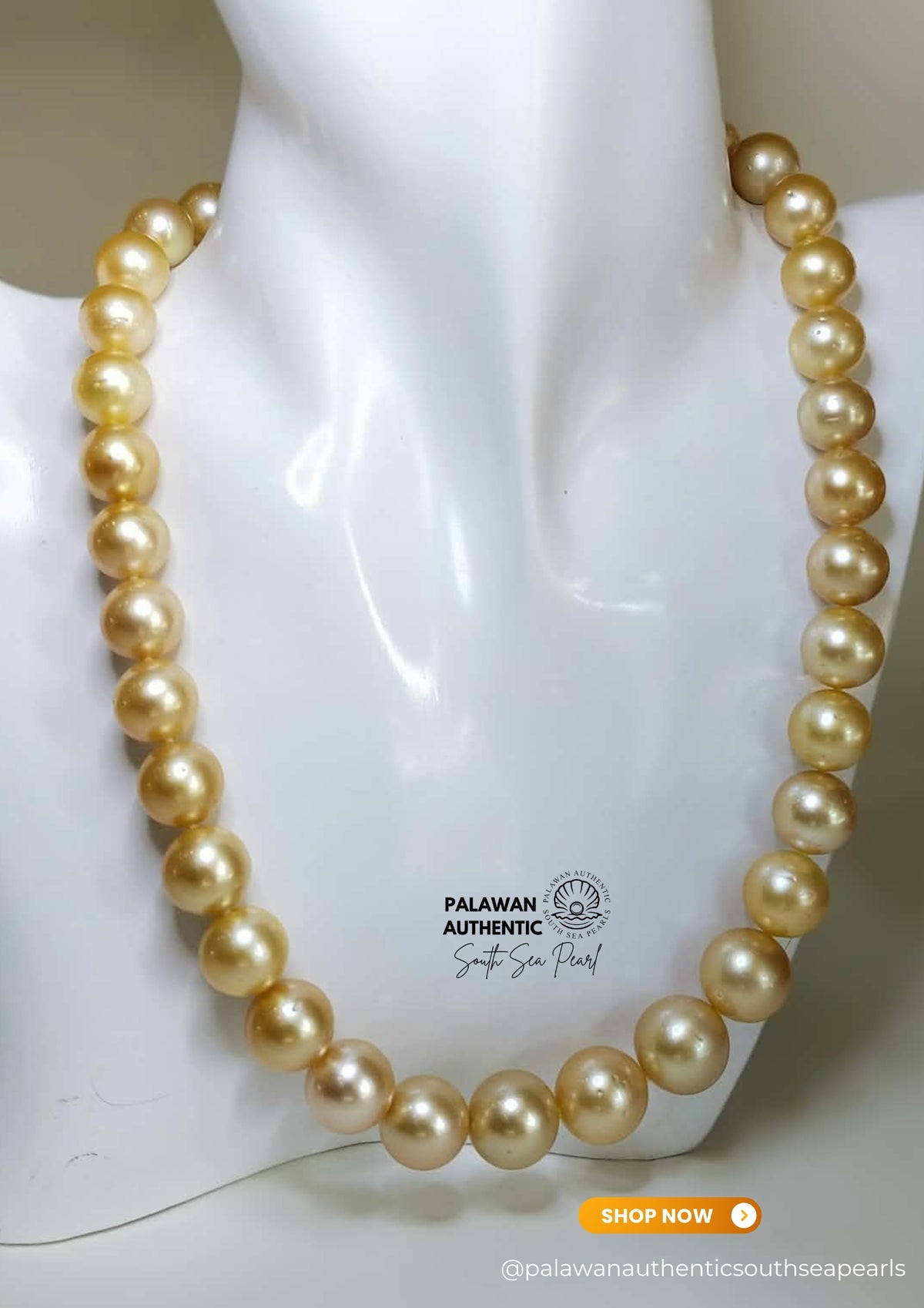 12mm to 14mm Palawan Authentic Champagne Color South Sea Pearl Choker in 5 Micron Lock Settings