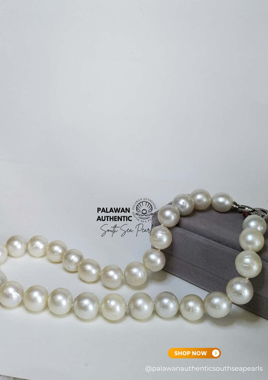 10.1 to 13.3mm Palawan Authentic Classic White Color South Sea Pearl Choker in 5 Micron Lock Settings