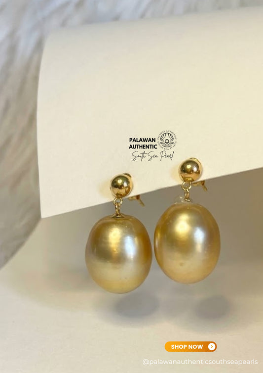 13/16mm Palawan Authentic Golden Color South Sea Pearl Earrings in 14k Real Gold Settings