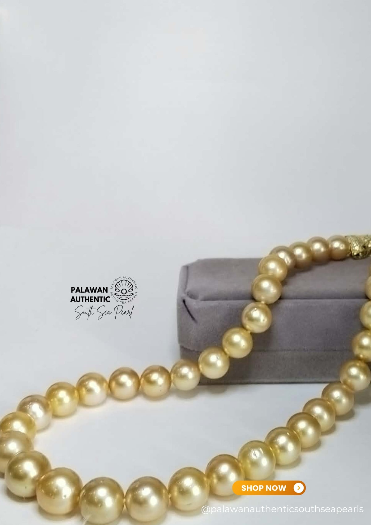 12mm to 14mm Palawan Authentic Champagne Color South Sea Pearl Choker in 5 Micron Lock Settings