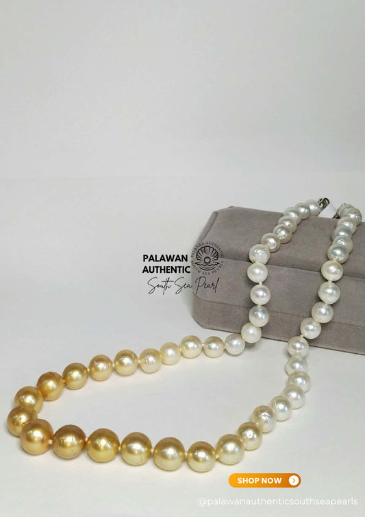 7.7 to 11.3mm Palawan Authentic Multicolor South Sea Pearl Choker in 5 Micron Lock Settings