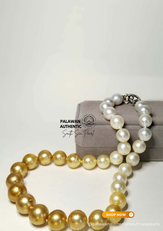 10.6 to 14mm Palawan Authentic Multicolor South Sea Pearl Choker in 5 Micron Lock Setting.