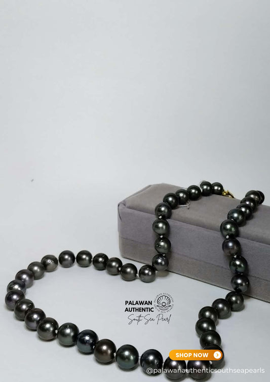 9.1 to 11mm Palawan Authentic Tahitian Black Color South Sea Pearl Choker in 5 Micron Lock Settings