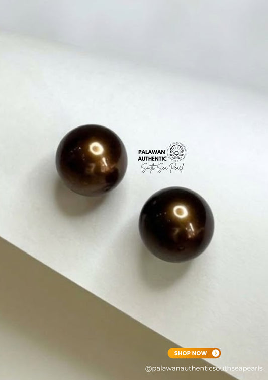 12.2 to 12.5mm Palawan Authentic Choco Brown Color South Sea Pearl Earrings in 14k Real Gold Settings