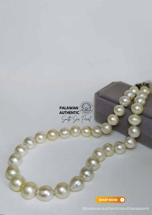 12.2 to 13.9mm Palawan Authentic Creamy Champagne Color South Sea Pearl Choker in 5 Micron Lock Settings