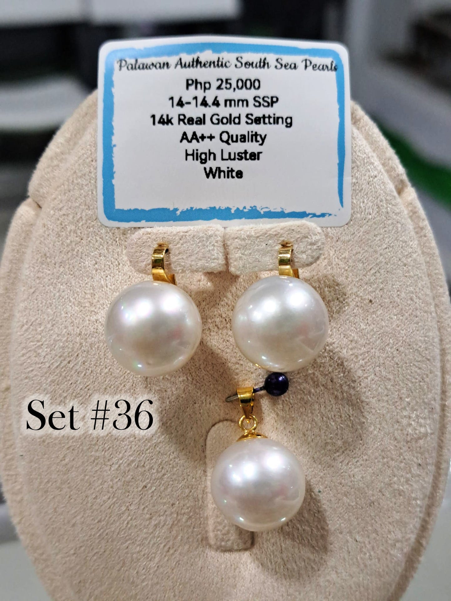 14mm to 14.4mm Authentic South Sea Pearls White Color Set in 14K Gold