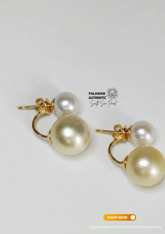8.6 to 12.8mm Palawan Authentic White and Champagne Color South Sea Pearl Earrings in 14k Real Gold Settings
