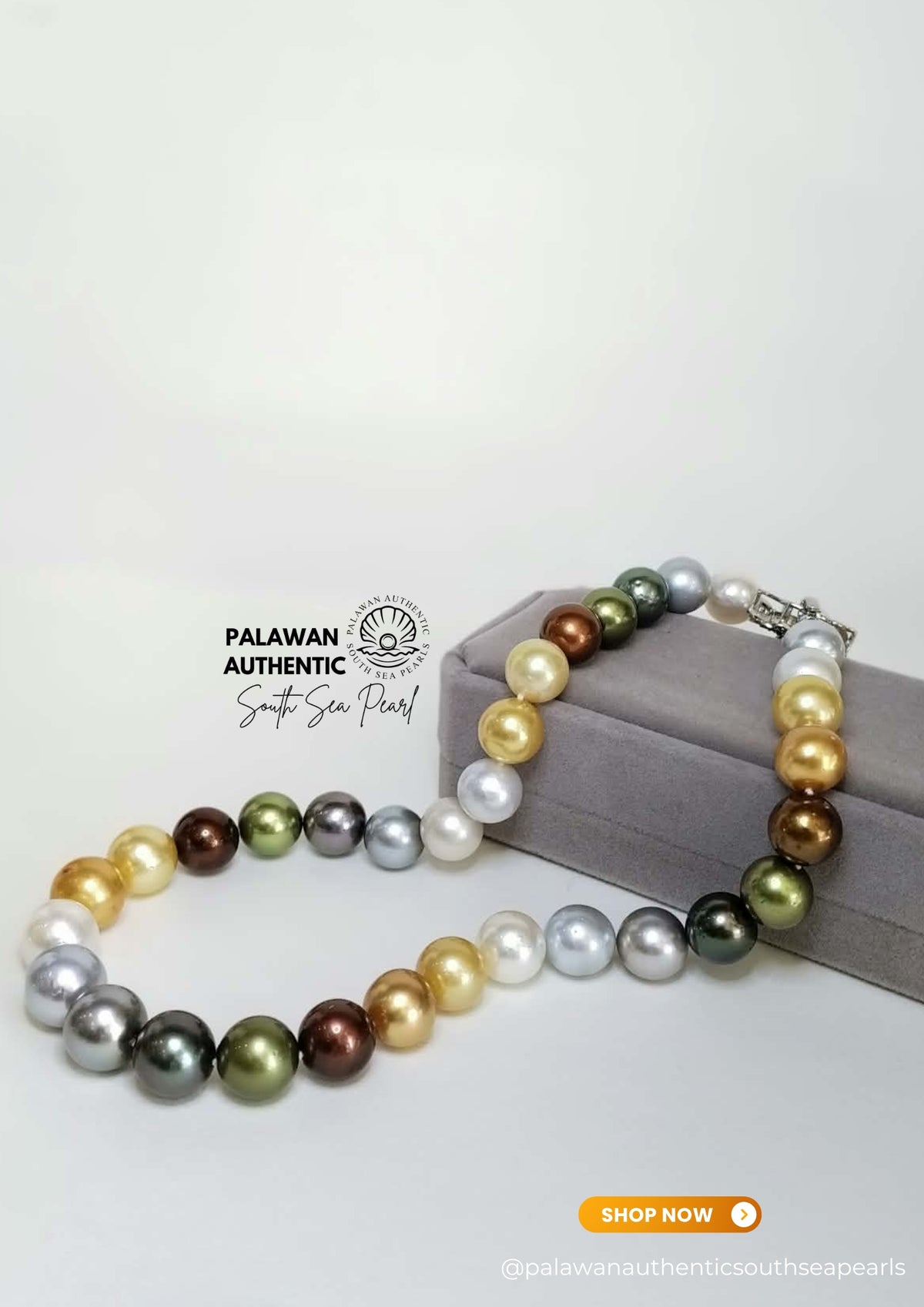 12mm to 14mm Palawan Authentic Multicolor South Sea Pearl Choker in 5 Micron Lock Settings