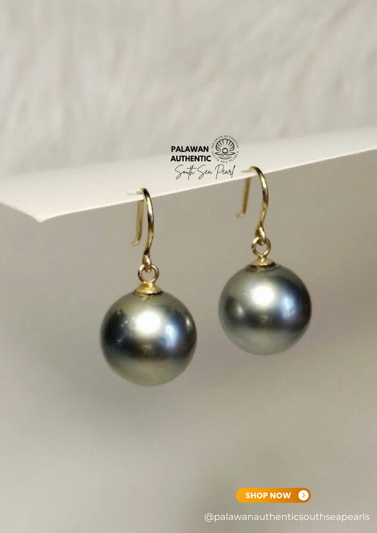 12.5mm Palawan Authentic Platinum Gray Color South Sea Pearl Earrings in 14k Real Gold Settings