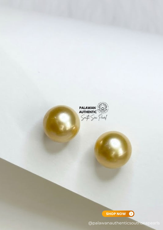 11.9mm Palawan Authentic Champagne Color South Sea Pearl Earrings in 14k Real Gold Settings