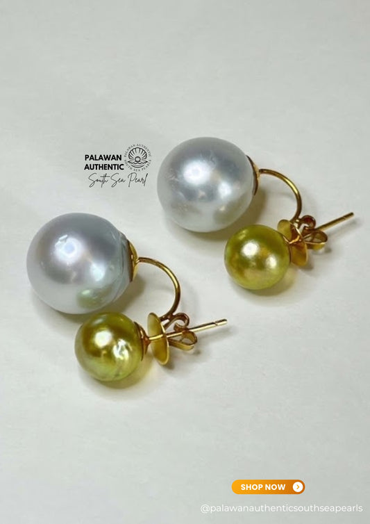 8.5 to 13mm Palawan Authentic Avocado Green and Silver White Color South Sea Pearl Earrings in 14k Real Gold Settings