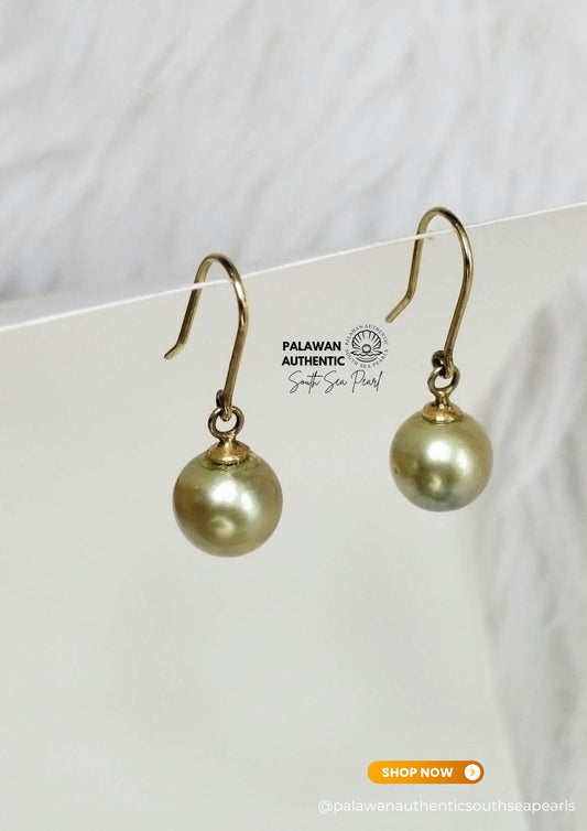 8mm Palawan Authentic Avocado Green Color South Sea Pearl Earrings in 14k Real Gold Settings