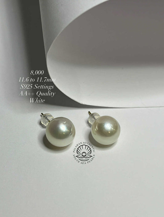 New Arrival! 11.6 to 11.7mm Palawan Authentic White South Sea Pearl Earrings in S925 Settings