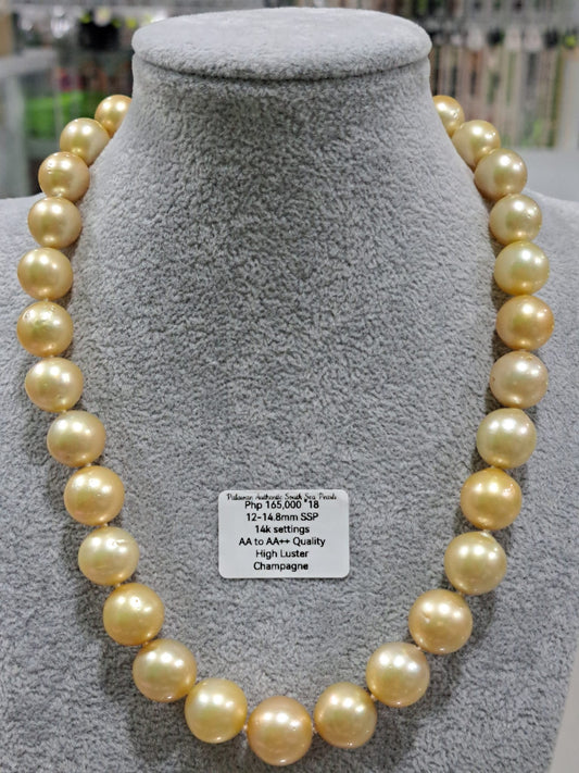 Champagne Authentic South Sea Pearls Chocker Necklace