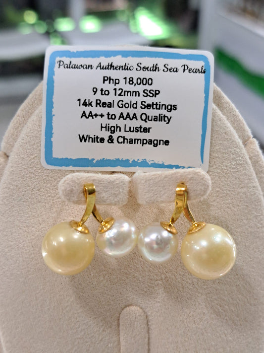 12mm White & Champagne South Sea Pearls Earrings in 14K Gold