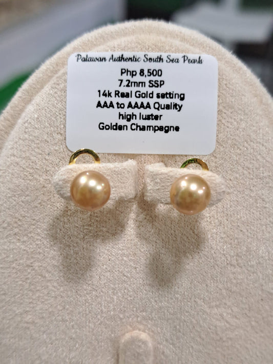 7.2mm Golden Champagne South Sea Pearls Earrings in 14K Gold
