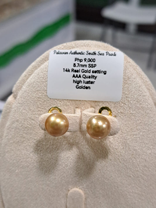 8.7mm Golden South Sea Pearls Earrings in 14K Gold