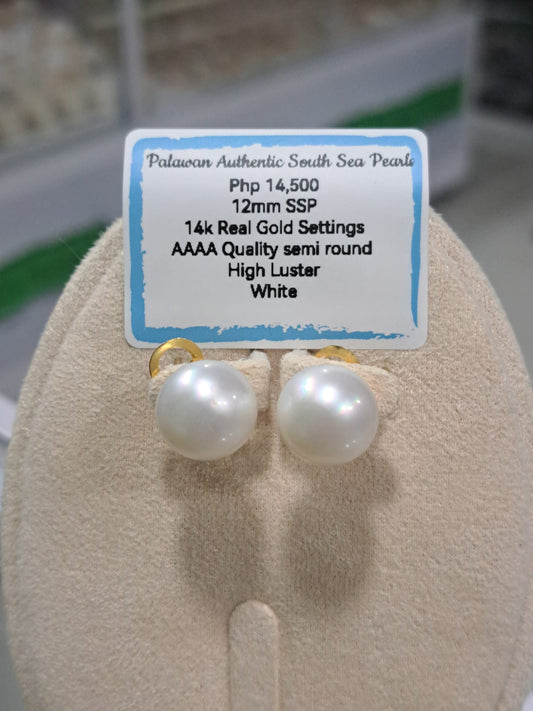 12mm White South Sea Pearls Earrings in 14K Gold