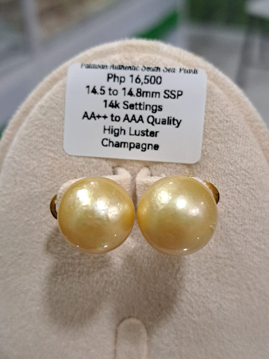 14.8mm Champagne South Sea Pearls in 14K Gold